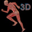 Icono de programa: Human Body 3D for iPad