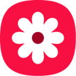Icono de programa: Gallery