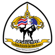 TBA-SA Muay Thai icon