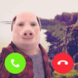 Icon of program: John Pork In Video Call