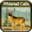 Icon of program: Whitetail Hunting Calls