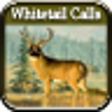 Icon of program: Whitetail Hunting Calls