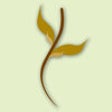 Icono de programa: Beauty Hope