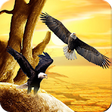 Icon of program: Eagle Wallpapers HD