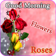Icon of program: Good morning flowers rose…