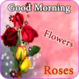 Icon of program: Good morning flowers rose…
