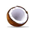 Icon of program: Coconut Budget