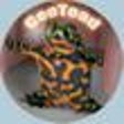 Icono de programa: GeoToad