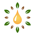 Icono de programa: Young Living Essential Oi…