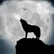 Icon of program: Werewolf Horror Wallpaper…