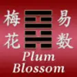 Icon of program: Plum Blossom Divination H…