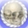 Icono de programa: Speed Bones Lite for iPho…