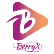Icon of program: BerryX