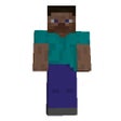 Icono de programa: Minecraft Tribute