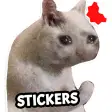 Icon of program: New Funny Cat Memes Stick…