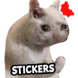Icon of program: New Funny Cat Memes Stick…