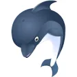Icon of program: Dolphins