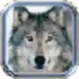Icon of program: Wolves Valley