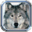 Icon of program: Wolves Valley