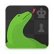 Icon of program: Komodo 13 Chess Engine