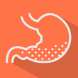 Icono de programa: Refluxlog -acid reflux tr…