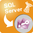 Icon of program: MsSqlToAccess