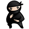 Icon of program: System Ninja Portable