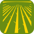 Icon of program: Midwest Cover Crops Field…