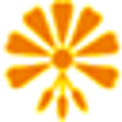 Icon of program: OnlineVNC Server (64-Bit)