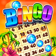 Icon of program: Bingo Story