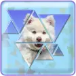 Icon of program: Triangle puzzle - Tangram