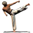 Icon of program: Taekwondo Forms (Sponsore…
