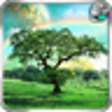 Icono de programa: Fantastic Nature