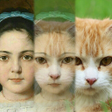 Icon of program: Zooface - GIF Animal Morp…