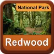Icon of program: Redwood National Park