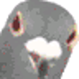 Icon of program: Pigeon Professional