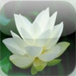 Icono de programa: Baha'i Daily Quotes