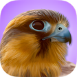 Icono de programa: iBird Pro