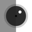 Icon of program: OnionSkinCapture