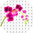 Icon of program: Orchid Flower Color By Nu…