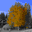 Icon of program: Pragmatisoft Photo Share …