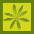 Icon of program: Essbare Wildpflanzen