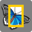 Icono de programa: Nat Geo Color WILD