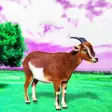 Icon of program: City Goat Sim Game 2020:F…