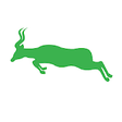Icon of program: Bongo