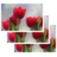 Hotfolder Prints icon
