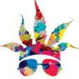 Icono de programa: CannaBuzz - 420 Social Cl…