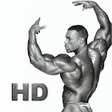 Icono de programa: Bodybuilding HD