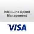 Icon of program: Visa IntelliLink Instrucc…