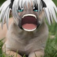 Icon of program: Anime Face Changer